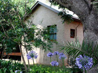 Homewood Cottages - Surfers Gold Coast 5