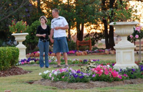 Mulanah Gardens Bed And Breakfast Cottages - Surfers Gold Coast 4