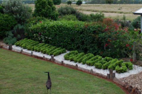 Mulanah Gardens Bed And Breakfast Cottages - Surfers Gold Coast 5