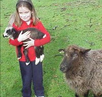 Cinnamon Coloureds Farmstay - Surfers Gold Coast