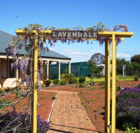 Lavendale Farmstay and Cottages - Surfers Gold Coast