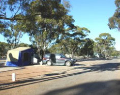 Gateway Caravan Park - Surfers Gold Coast 4