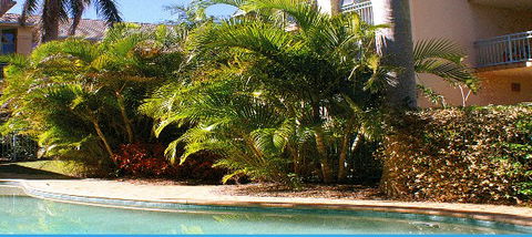 Golden Sea Apartments - Surfers Gold Coast 4