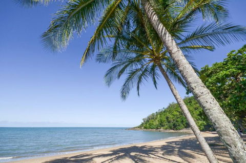 Roydon Beachfront Holiday Apartments - Surfers Gold Coast 4