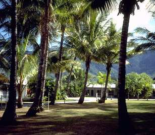 Clifton Palms - Surfers Gold Coast 0