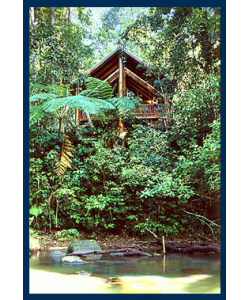 The Canopy Treehouses - Surfers Gold Coast 1