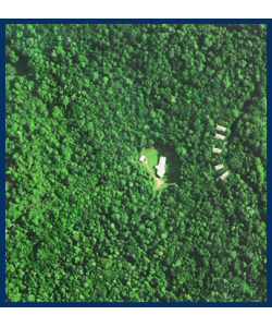 The Canopy Treehouses - Surfers Gold Coast 2