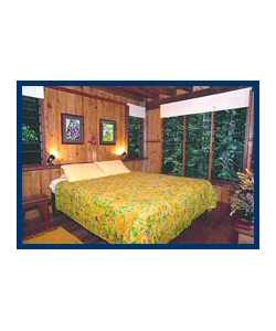 The Canopy Treehouses - Surfers Gold Coast 3