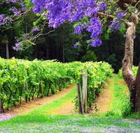 Bago Vineyards - Surfers Gold Coast