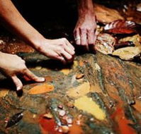 Daintree Eco Lodge And Spa - Surfers Gold Coast