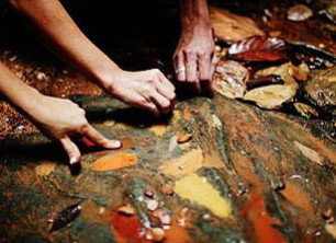 Daintree Eco Lodge And Spa - Surfers Gold Coast 0