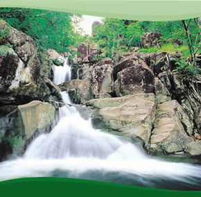 Bay Village Tropical Retreat, Cairns - Surfers Gold Coast 2