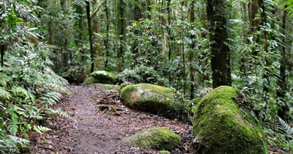 Hillside Bed & Breakfast - Surfers Gold Coast 2