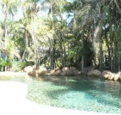 Bushland Beach Tavern - Surfers Gold Coast