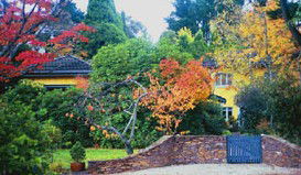 Moniques Bed And Breakfast - Surfers Gold Coast 3