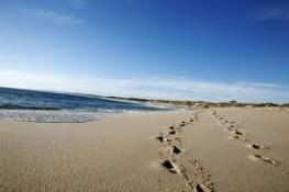 Kalbarri Palm Resort - Surfers Gold Coast 4
