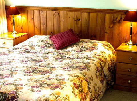 Mountain View Motor Inn And Holiday Lodges - Surfers Gold Coast 1