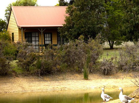 Mountain View Motor Inn And Holiday Lodges - Surfers Gold Coast 2
