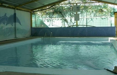 Wycliffe Well Holiday Park - Surfers Gold Coast 1
