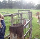 Boronia Farm Farmstay - Surfers Gold Coast
