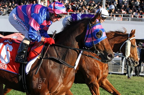 Quest Ascot - Surfers Gold Coast 4