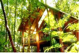 The Canopy Treehouses - Surfers Gold Coast 0