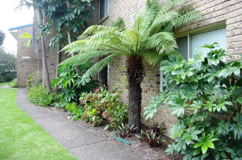 Beachfront Units Merimbula - Surfers Gold Coast 3