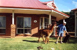 Brilea Cottages - Surfers Gold Coast 0