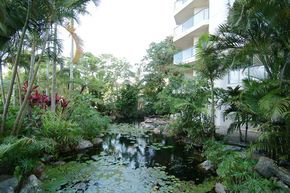 181 The Esplanade - Surfers Gold Coast 1
