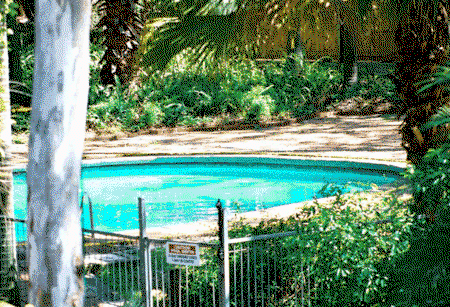 Forest Lodge Apartments - Surfers Gold Coast 0