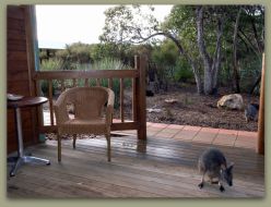 Kangaroo Island Wilderness Resort - Surfers Gold Coast 1