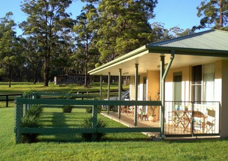 Neds Bed Horse O Tel - Surfers Gold Coast 1