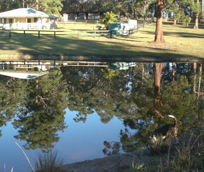 Neds Bed Horse O Tel - Surfers Gold Coast 4