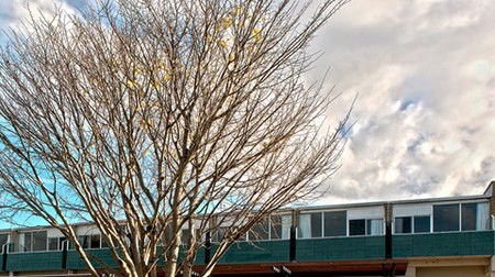 St Helens Bayside Inn - Surfers Gold Coast 1