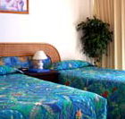 International Beach Resort - Surfers Gold Coast