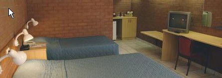 Pine Tree Motel - Surfers Gold Coast 0