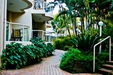Miami Beachside Apartments - Surfers Gold Coast 9