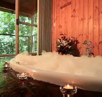 Tree Houses Of Montville - Surfers Gold Coast
