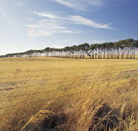 Port Wakefield Motel - Surfers Gold Coast