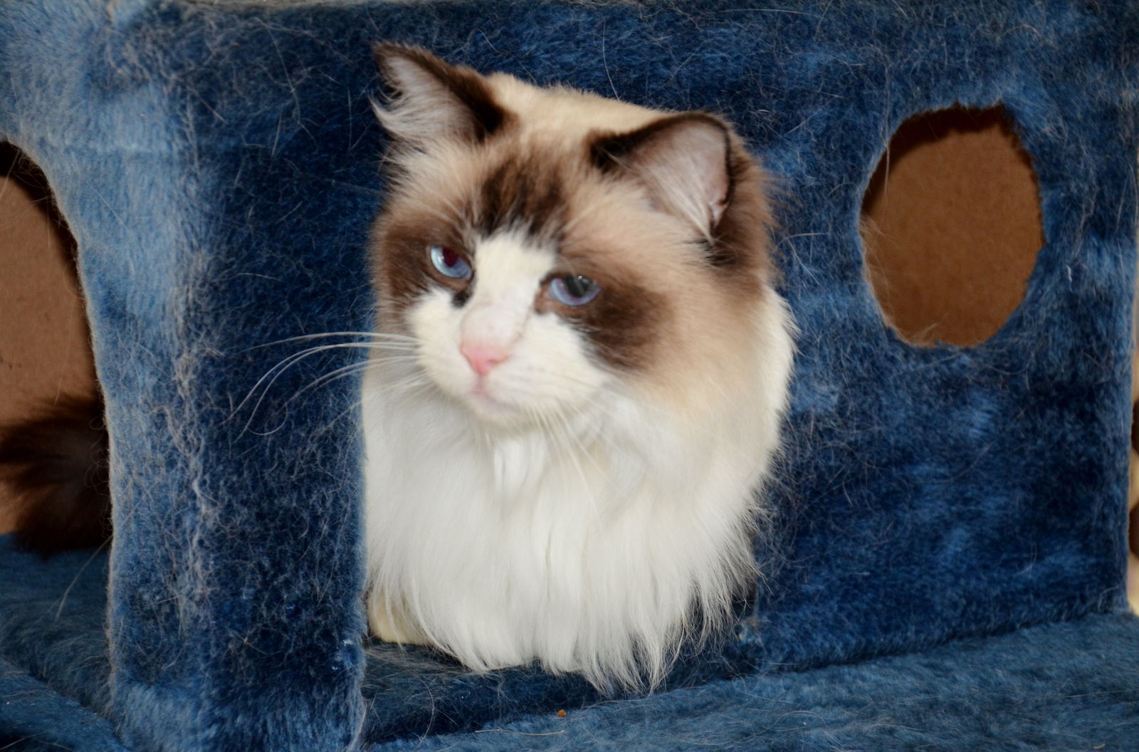 Canning Vale East ACT Surfers Gold Coast