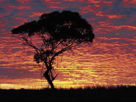 Kimba Caravan Park & Motel - Surfers Gold Coast 0