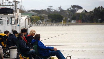 Angler's Arms And Fisherman's Cottage - Surfers Gold Coast 6