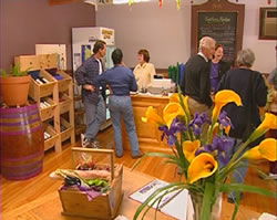 Tourist Attractions Heathridge WA Surfers Gold Coast