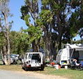 Elliston Caravan Park - Surfers Gold Coast