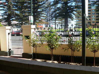 Grandview House Apartments - Surfers Gold Coast 5