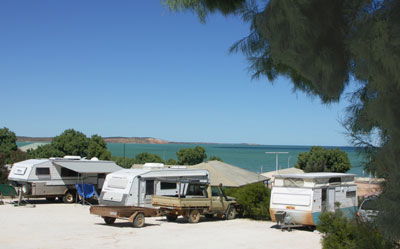 Blue Dolphin Caravan Park And Holiday Village - Surfers Gold Coast 0