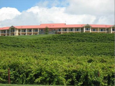 Turners Vineyard - Surfers Gold Coast 4