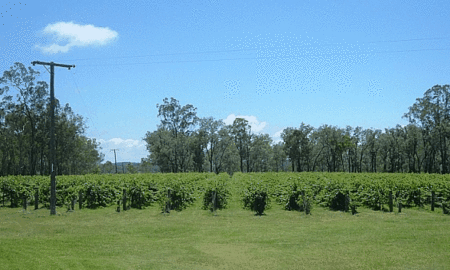 Copper Country Motor Inn - Surfers Gold Coast 3