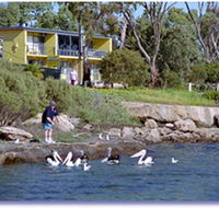 Almonta Holiday Apartments - Surfers Gold Coast
