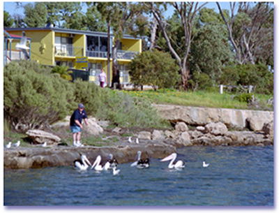 Almonta Holiday Apartments - Surfers Gold Coast 0
